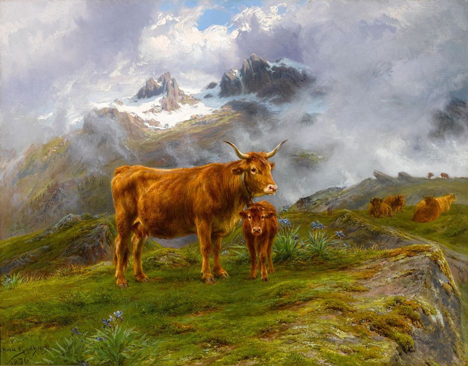 bonheurhighlandcattle