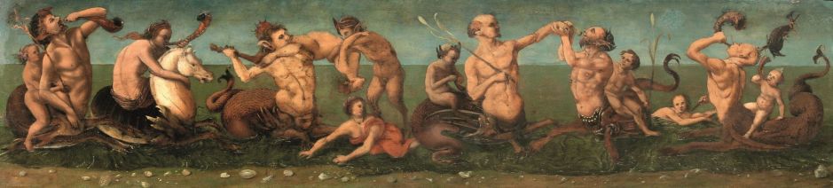 dicosimotritonsnereids