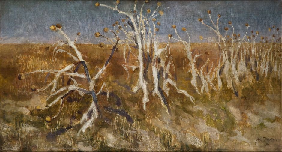 sichulskimuskthistles