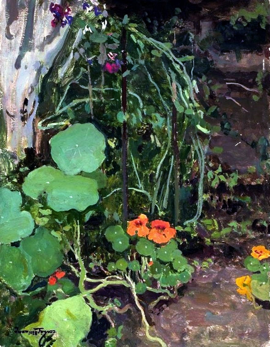 trushnasturtiums